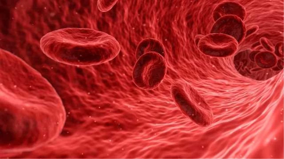 Παγκόσμια Ημέρα Δρεπανοκυτταρικής Νόσου: Ενημέρωση, η καλύτερη πρόληψη